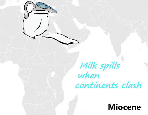 Miocene mnemonic image