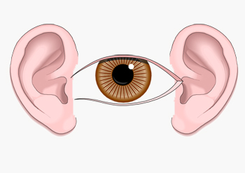 mnemonic image